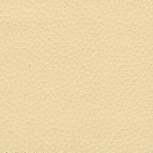 beige 02 c